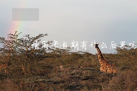 信用卡逾期有什么后果吗 信用卡逾期有什么后果吗