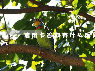 信用卡逾期有什么后果责任 信用卡逾期有什么后果责任