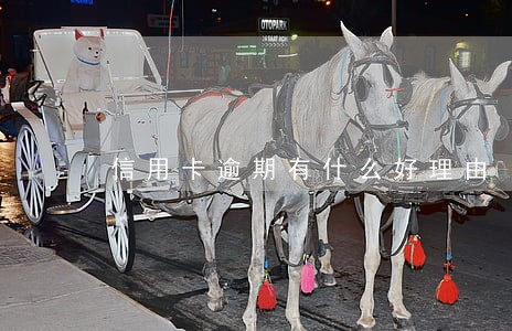 信用卡逾期有什么好理由 信用卡逾期有什么好理由