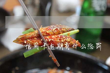信用卡逾期有什么惩罚