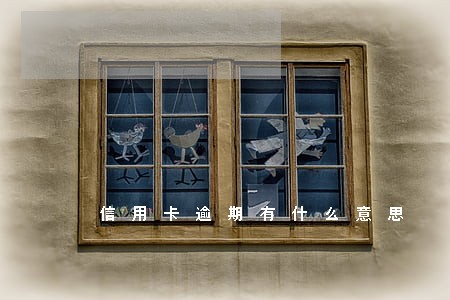 信用卡逾期有什么意思 信用卡逾期有什么意思