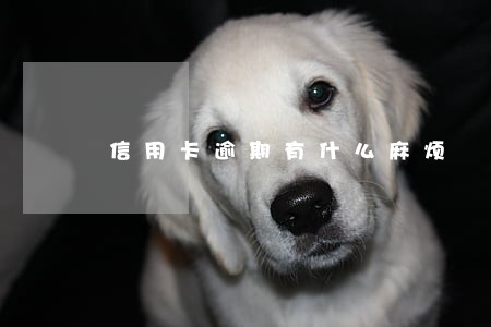 信用卡逾期有什么麻烦 信用卡逾期有什么麻烦