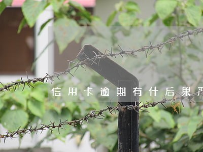 信用卡逾期有什后果严重