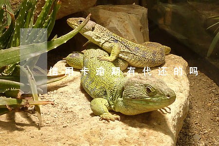 信用卡逾期有代还的吗 信用卡逾期有代还的吗
