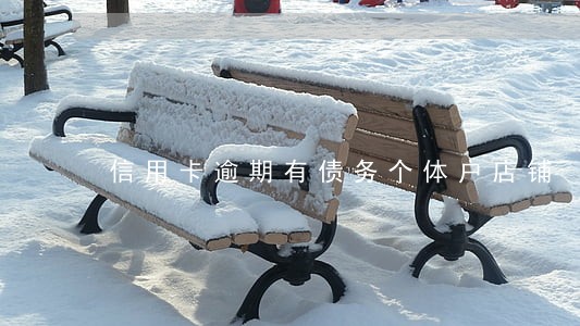 信用卡逾期有债务个体户店铺 信用卡逾期有债务个体户店铺
