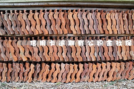 信用卡逾期有公积金社保哪里能贷 信用卡逾期有公积金社保哪里能贷