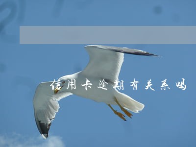 信用卡逾期有关系吗 信用卡逾期有关系吗