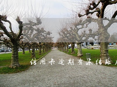 信用卡逾期有冻结账户的权限吗 信用卡逾期有冻结账户的权限吗