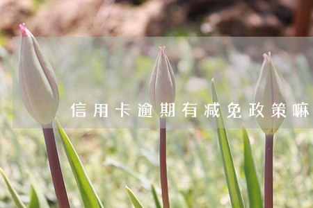 信用卡逾期有减免政策嘛 信用卡逾期有减免政策嘛