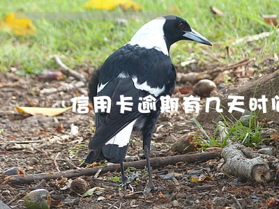 信用卡逾期有几天时间 信用卡逾期有几天时间