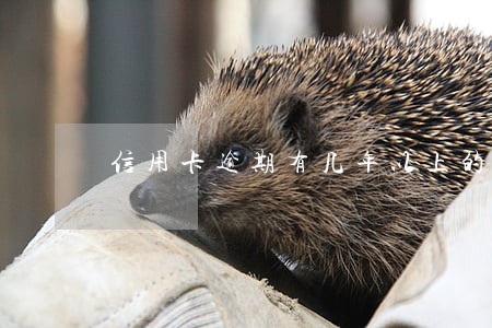 信用卡逾期有几年以上的吗 信用卡逾期有几年以上的吗