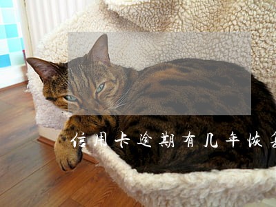 信用卡逾期有几年恢复 信用卡逾期有几年恢复