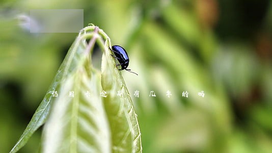 信用卡逾期有几年的吗 信用卡逾期有几年的吗