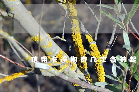 信用卡逾期有几次会被起诉 信用卡逾期有几次会被起诉