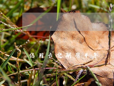 信用卡逾期有半年 信用卡逾期有半年