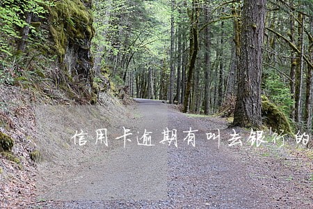 信用卡逾期有叫去银行的吗 信用卡逾期有叫去银行的吗