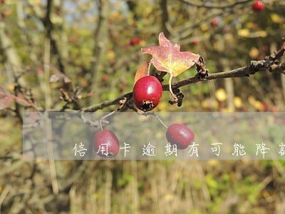 信用卡逾期有可能降额吗 信用卡逾期有可能降额吗