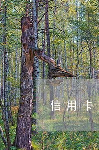 信用卡逾期有司法信函吗 信用卡逾期有司法信函吗