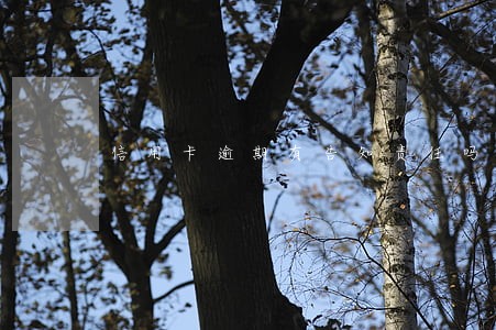 信用卡逾期有告知责任吗 信用卡逾期有告知责任吗