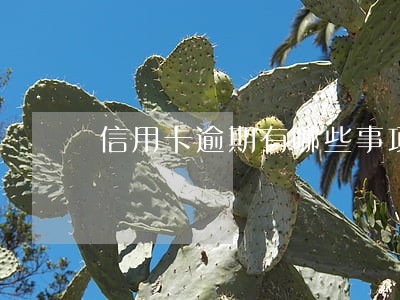 信用卡逾期有哪些事项 信用卡逾期有哪些事项