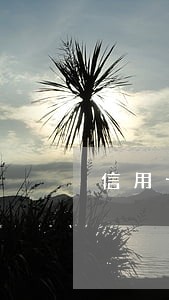 信用卡逾期有哪些手续