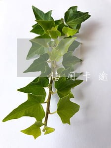 信用卡逾期有哪些限制 信用卡逾期有哪些限制