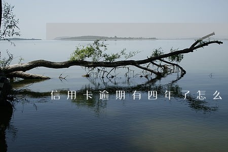 信用卡逾期有四年了怎么办 信用卡逾期有四年了怎么办