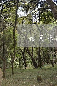 信用卡逾期有复息吗