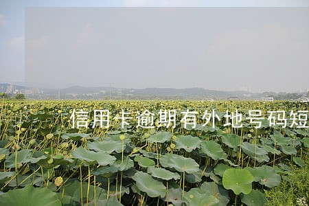 信用卡逾期有外地号码短信催收 信用卡逾期有外地号码短信催收