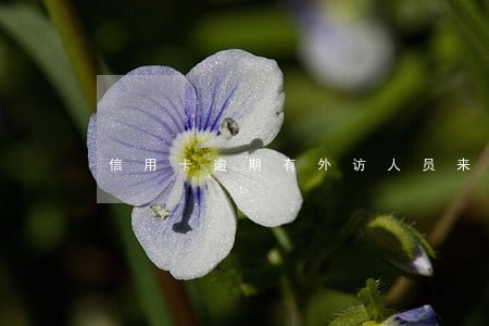 信用卡逾期有外访人员来家视频 信用卡逾期有外访人员来家视频