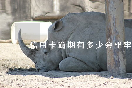 信用卡逾期有多少会坐牢的 信用卡逾期有多少会坐牢的