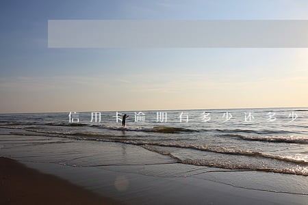 信用卡逾期有多少还多少 信用卡逾期有多少还多少