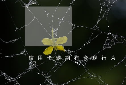 信用卡逾期有套现行为