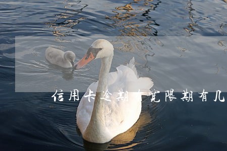 信用卡逾期有宽限期有几次