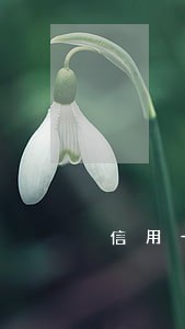 信用卡逾期有小额还款期限 信用卡逾期有小额还款期限