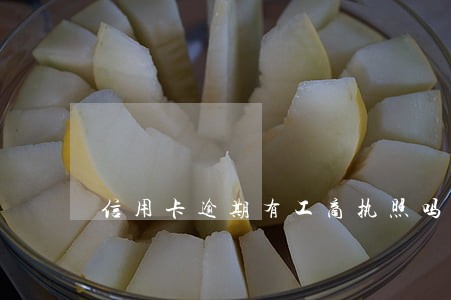 信用卡逾期有工商执照吗 信用卡逾期有工商执照吗