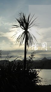 信用卡逾期有座机打电话威胁 信用卡逾期有座机打电话威胁