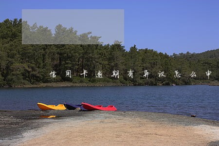 信用卡逾期有异议怎么申诉 信用卡逾期有异议怎么申诉
