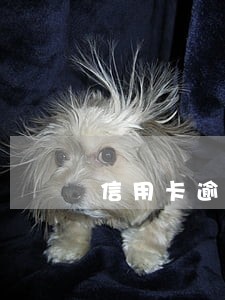 信用卡逾期有律师介入吗 信用卡逾期有律师介入吗