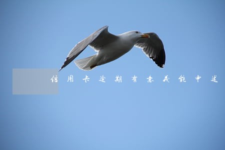 信用卡逾期有意义能申述吗