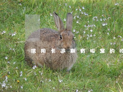 信用卡逾期有报案的吗