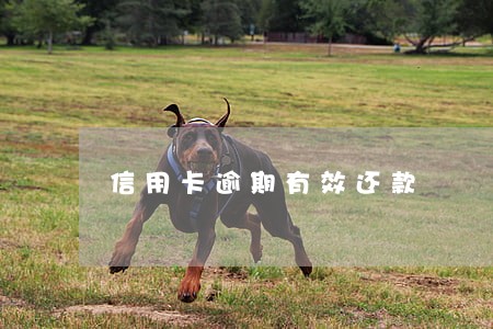 信用卡逾期有效还款 信用卡逾期有效还款