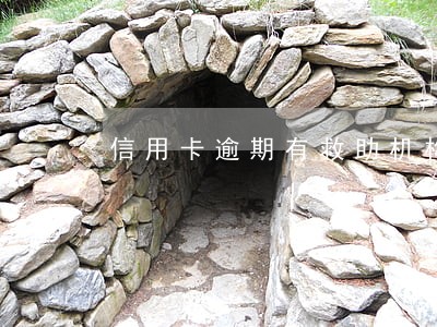 信用卡逾期有救助机构吗