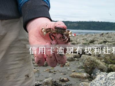 信用卡逾期有权利让移动停机吗 信用卡逾期有权利让移动停机吗