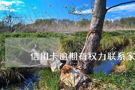 信用卡逾期有权力联系家人吗 信用卡逾期有权力联系家人吗