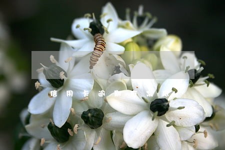 信用卡逾期有案底 信用卡逾期有案底