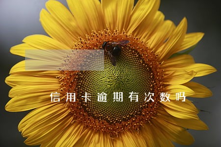 信用卡逾期有次数吗