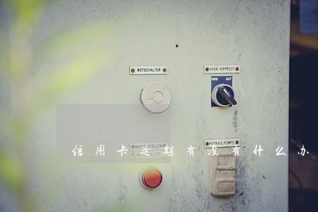 信用卡逾期有没有什么办法 信用卡逾期有没有什么办法