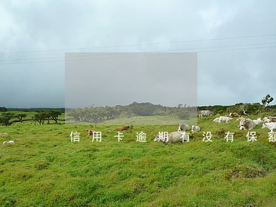 信用卡逾期有没有保额开卡 信用卡逾期有没有保额开卡