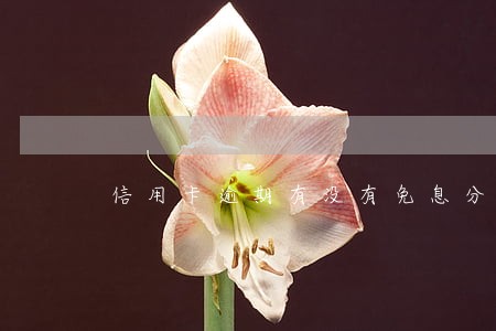 信用卡逾期有没有免息分期 信用卡逾期有没有免息分期